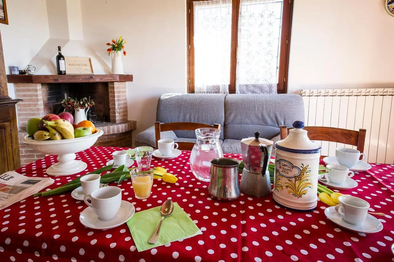 Borgo Montemaggiore Rapolano Terme Gospodarstwo agroturystyczne